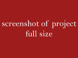 screenshot of project