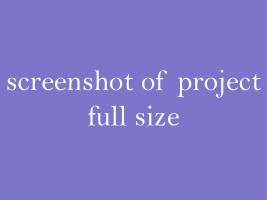 screenshot of project