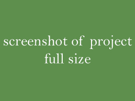screenshot of project