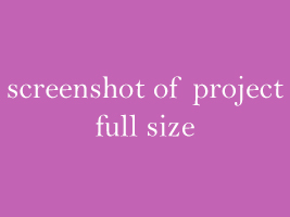 screenshot of project