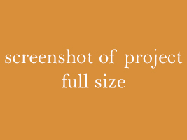 screenshot of project