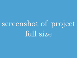 screenshot of project